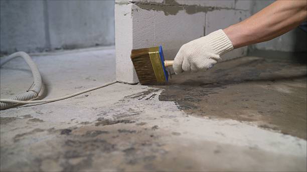Top rated local Interior Drainage System specialists in Derwood, MD